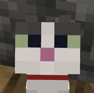 Meet your Posher, Ran